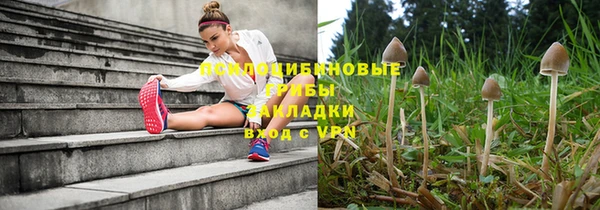 скорость mdpv Каменка