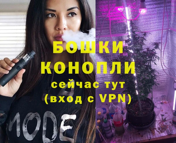 гидра Каменск-Шахтинский